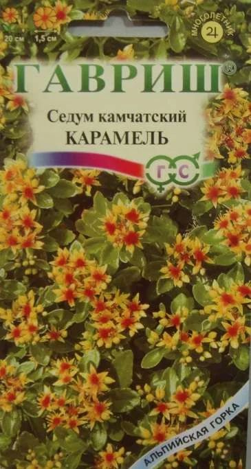 Лот: 11024468. Фото: 1. Седум Карамель камчатский 0,01г. Садовые цветы