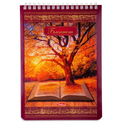 Лот: 15676972. Фото: 1. Блокнот А5 60л. на спирали Hatber... Записные книжки, ежедневники, блокноты