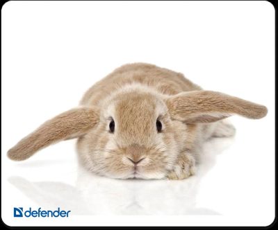 Лот: 4884632. Фото: 1. Коврик Defender для мыши, шелковый... Коврики