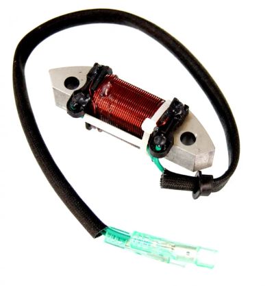 Лот: 21366360. Фото: 1. Катушка генераторная Yamaha 25-30... Запчасти для лодок, катеров, лодочных моторов