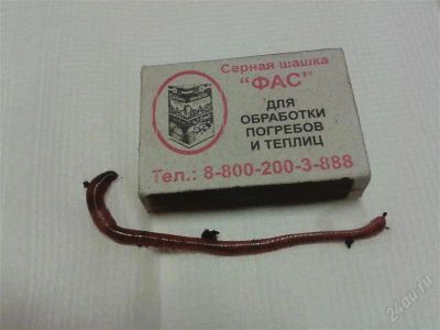 Лот: 1274068. Фото: 1. калифорнийский червь. Корма