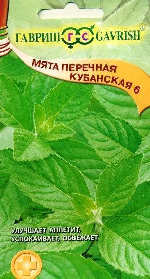 Лот: 7884474. Фото: 1. Мятя перечная Кубанская. Пряные и лекарственные травы