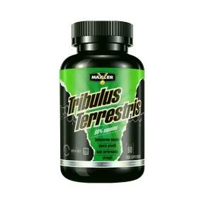 Лот: 6585719. Фото: 1. Трибулус Tribulus Terrestris от... Спортивное питание, витамины