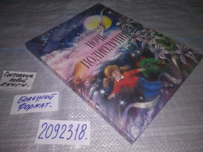 Лот: 24999964. Фото: 1. oz(2092318)Елена Ланецкая, "Ночь... Художественная для детей