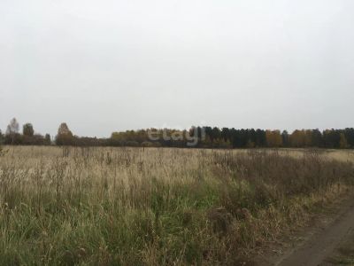 Лот: 25292633. Фото: 1. участок , Сосновоборск Сосновоборск... Земельные участки