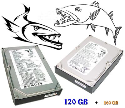 Лот: 3106042. Фото: 1. Две старенькие Барракуды - одним... Жёсткие диски (HDD)