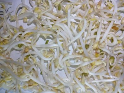 Лот: 7587199. Фото: 1. Проростки - ЖИВАЯ ЕДА. Другое (продукты)