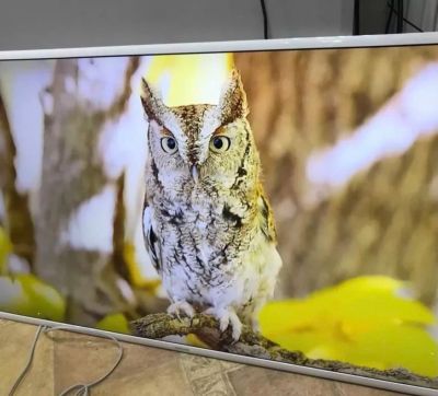 Лот: 17266058. Фото: 1. Телевизор Samsung ue43m5513au. Телевизоры