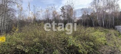 Лот: 25288125. Фото: 1. участок , деревня Раскаты деревня... Земельные участки