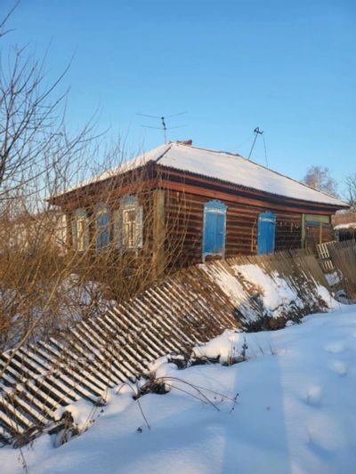 Лот: 25025169. Фото: 1. Дом. Другое (семена, рассада, садовые растения)