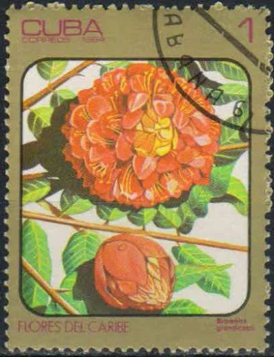Лот: 24997450. Фото: 1. 1984. Куба. Карибские цветы. н... Марки