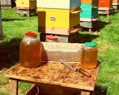 Лот: 16280707. Фото: 1. Сибирский природный мёд 2024 года... Мёд, продукты пчеловодства