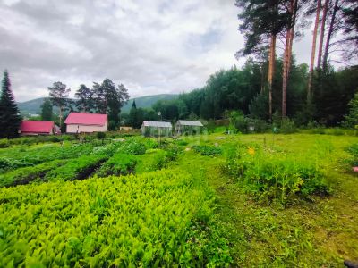 Лот: 25297128. Фото: 1. участок , СНТ Чернобыль СНТ Чернобыль... Земельные участки