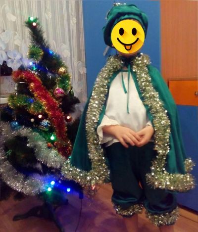Лот: 8533705. Фото: 1. Костюм карнавальный (новогодний... Детские карнавальные, праздничные костюмы