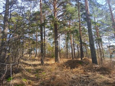 Лот: 25336297. Фото: 1. участок , Красноярск Курганская... Земельные участки
