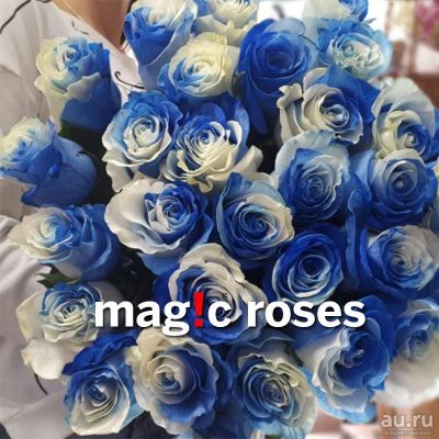 Лот: 12143625. Фото: 1. Наполовину синие розы Magic Blue... Свежие цветы