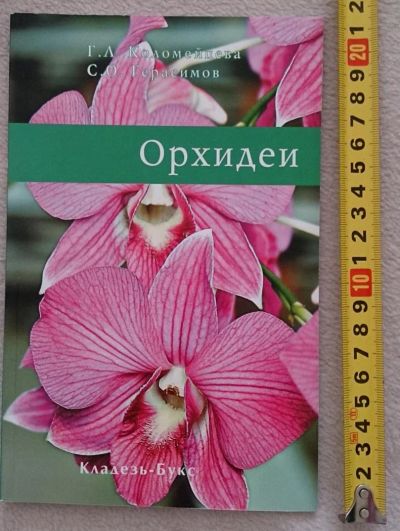 Лот: 7145170. Фото: 1. Орхидеи. Сад, огород, цветы