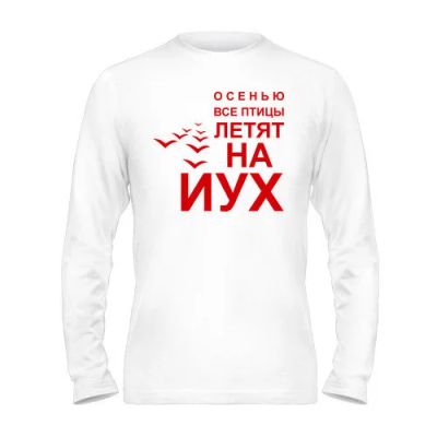 Лот: 9894450. Фото: 1. Стильная Футболка с Длинным Рукавом... Футболки, поло