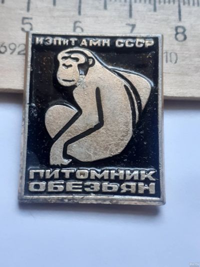 Лот: 18496243. Фото: 1. ( №12421) значки флора фауна... Сувенирные