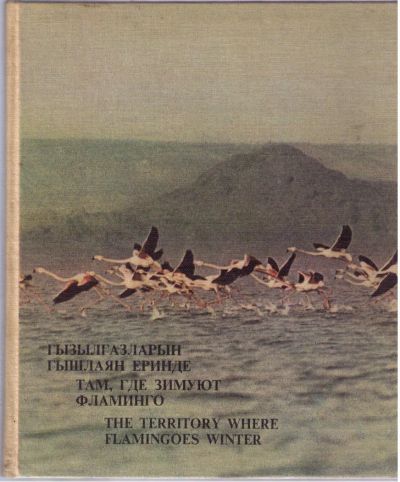 Лот: 4389759. Фото: 1. Там, где зимуют фламинго - красочный... Другое (наука и техника)