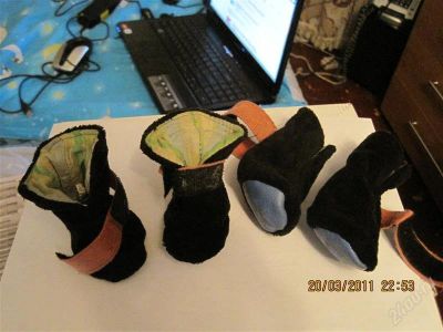 Лот: 845742. Фото: 1. обувь для собачки 2. Ошейники, одежда, конное снаряжение