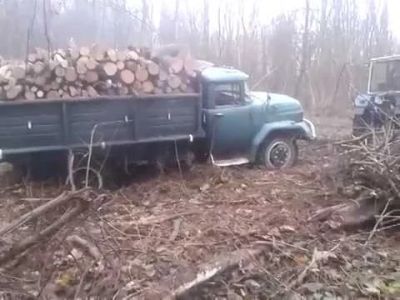 Лот: 7310921. Фото: 1. Дрова (хвойные) сосновые (елка... Другие (дрова, топливо)