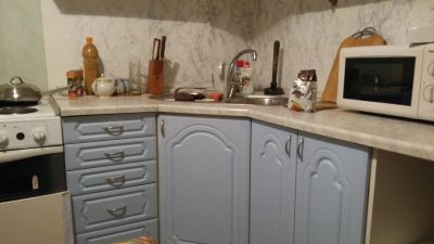 Лот: 17280485. Фото: 1. Кухня. Фартуки для кухни