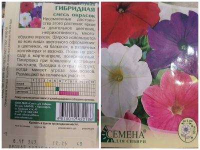 Лот: 20296020. Фото: 1. Рассада. Садовые цветы