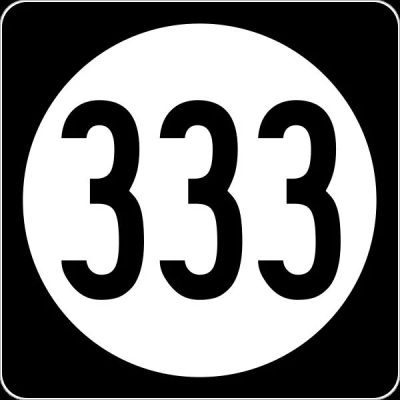Лот: 2988313. Фото: 1. гос номер 333. Госномера
