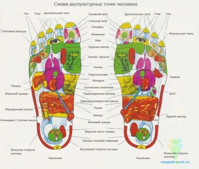 Лот: 4545257. Фото: 1. Массажные тапочки на пластиковой... Другое (массаж)