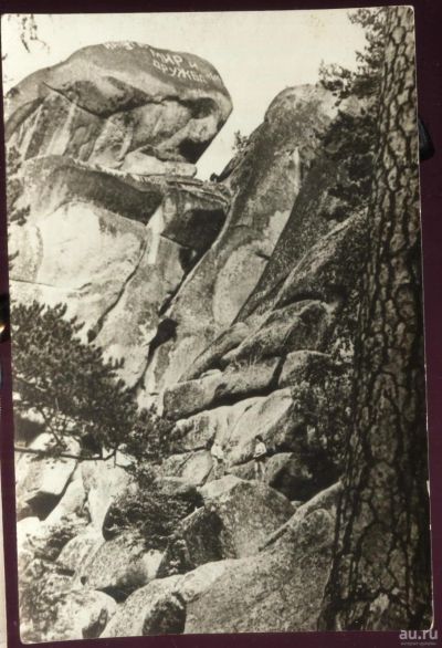 Лот: 17268121. Фото: 1. Енисейская Сибирь.*Госзаповедник... Фотографии