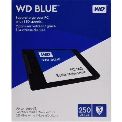 Лот: 12625539. Фото: 1. SSD WD Blue 250GB wdbnce2500pnc-wrsn... SSD-накопители