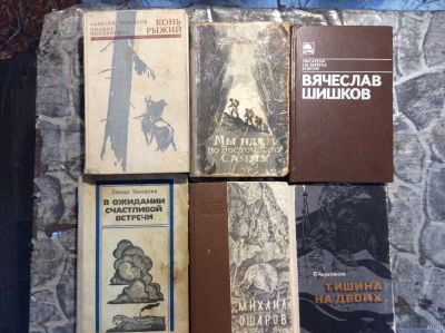 Лот: 17877904. Фото: 1. 4. Книги о Сибири. Художественная