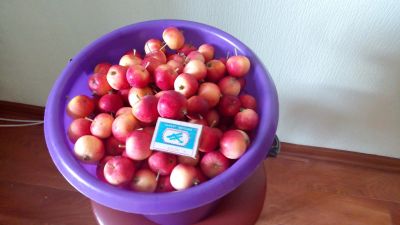 Лот: 12010644. Фото: 1. Яблоки, Ранетки вкусные (кисло... Овощи, фрукты, зелень