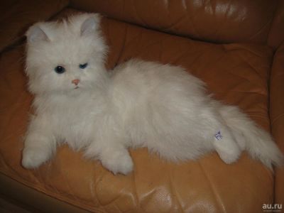 Лот: 9180224. Фото: 1. FurReal Friends Hasbro Кошка Лулу. Развивающие