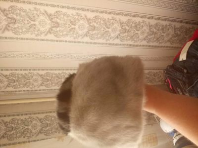 Лот: 12744836. Фото: 1. головной убор норка 2. Головные уборы