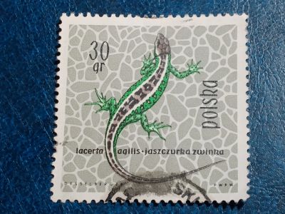 Лот: 25525125. Фото: 1. - Марки для Вашей коллекции. лот... Марки