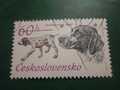 Лот: 18058132. Фото: 1. Марка для Вашей коллекции. №66309. Марки