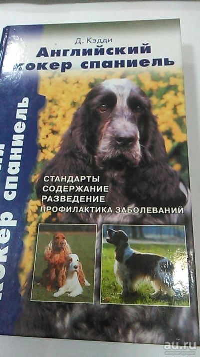 Лот: 9974529. Фото: 1. Книга. Таксы. М.А. Муромцева... Собаки, щенки