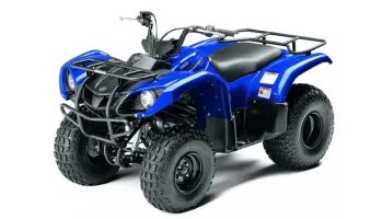 Лот: 25659293. Фото: 1. Квадроцикл GRIZZLY 125. Снегоходы, квадроциклы