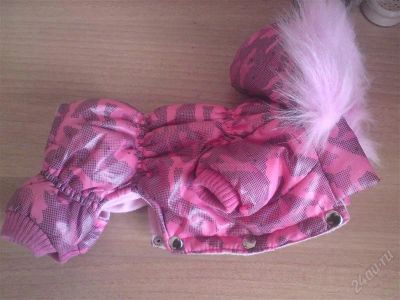 Лот: 835724. Фото: 1. Курточка для тоя. Ошейники, одежда, конное снаряжение