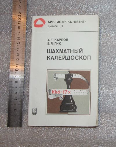 Лот: 25279784. Фото: 1. А. Е. Карпов. Е. Я. Гик. Шахматный... Спорт, самооборона, оружие