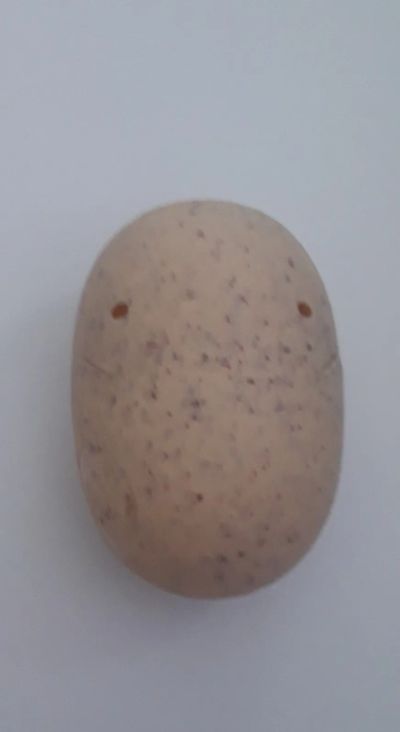 Лот: 25880618. Фото: 1. Яйцо от игрушки динозавра. Другое (игрушки)