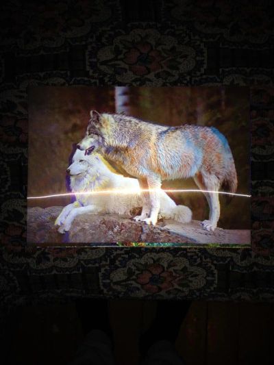 Лот: 6624943. Фото: 1. 3D картина формат А3. Картины, рисунки