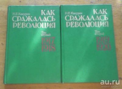 Лот: 13040898. Фото: 1. Какурин Н.Е. Как сражалась революция. История