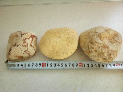 Лот: 15480845. Фото: 1. Камни для аквариума 3 шт. Оборудование
