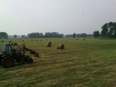 Лот: 11834040. Фото: 1. сено врулонах 300 кг. Другое (оборудование)