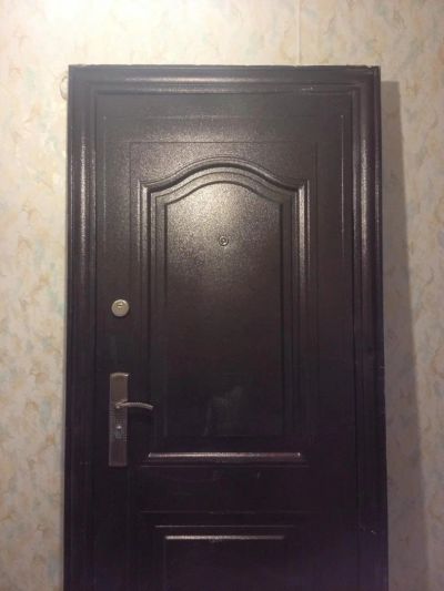 Лот: 4270640. Фото: 1. Дверь входная китай. Двери входные