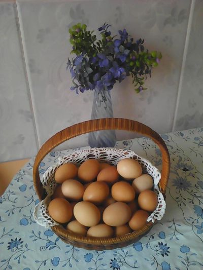 Лот: 5639385. Фото: 1. яйцо домашнее крупное. Мясо, птица, яйцо