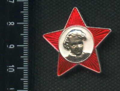 Лот: 16353890. Фото: 1. ( № 5601 ) значки октябрята,Ленин... Сувенирные